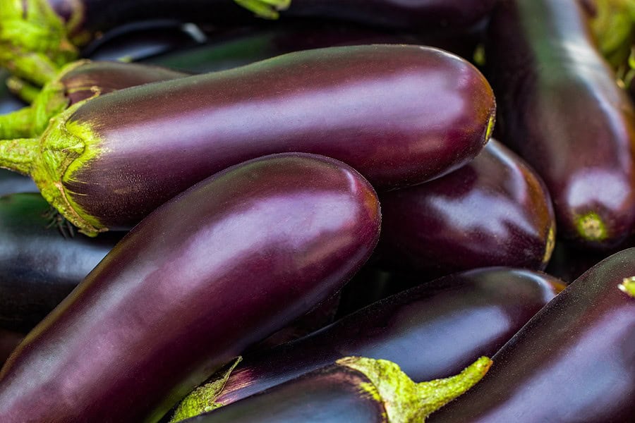 Aubergine